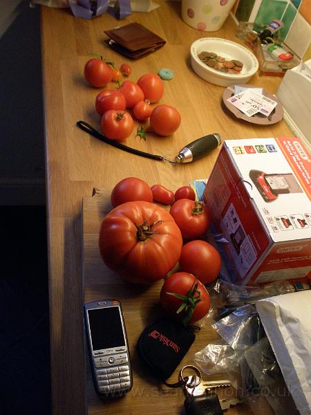 Huge Tomato (August 2009) 001.jpg - OLYMPUS DIGITAL CAMERA         